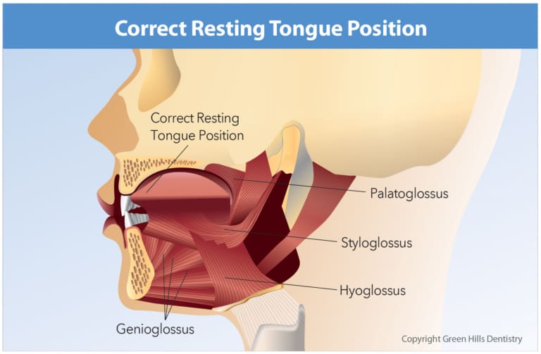 correct tongue resting position